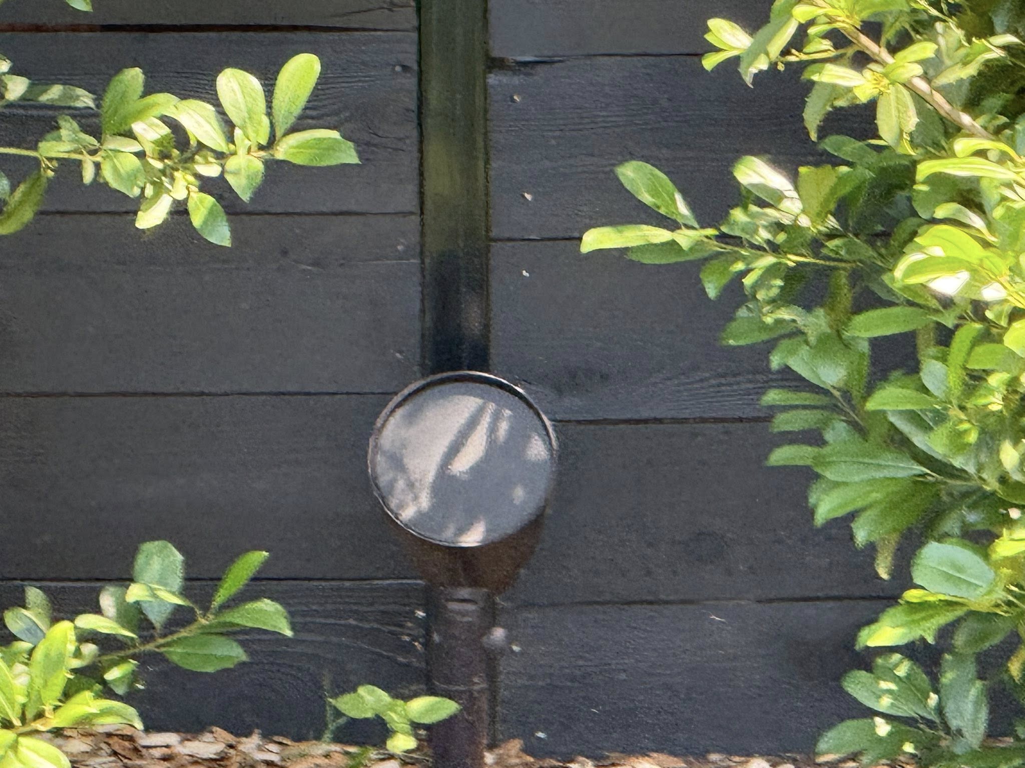 Outdoor Speaker — Bellah Audio Austin project